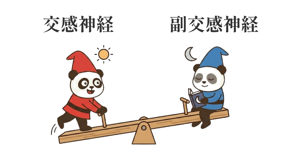 自律神経のバランス